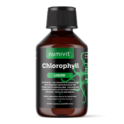 Klorofil 1