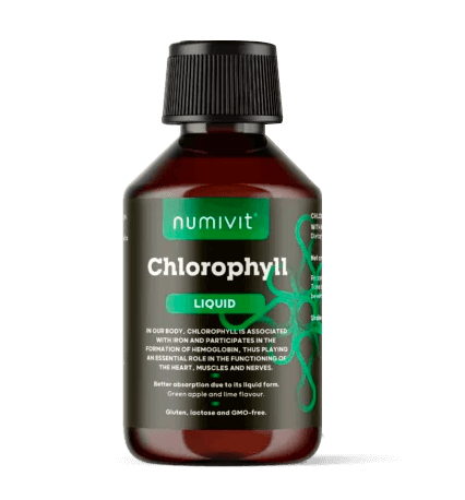 Klorofil 1x