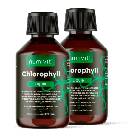 Klorofil 2x